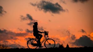 Mehr über den Artikel erfahren Neuer Radweg am historischen Hafen ist fertig!